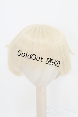 画像1: 8-9inch/アレン・ウィッグ　DDS鏡音レン「悪ノ召使」セット/インチ　BJD　MJD　ドール用 I-25-11-02-377-KD-ZI