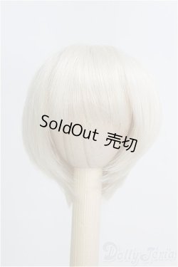 画像1: 6-7inch/ウィッグ/インチ　BJD　MJD　ドール用 I-25-07-27-123-KD-ZI