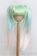 9-10inch/ウィッグ　ツーテール/インチ　BJD　MJD　ドール用 I-25-07-27-113-KD-ZI