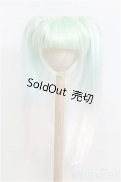 画像1: 9-10inch/ウィッグ　ツーテール/インチ　BJD　MJD　ドール用 I-25-07-27-113-KD-ZI