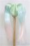 画像2: 9-10inch/ウィッグ　ツーテール/インチ　BJD　MJD　ドール用 I-25-07-27-113-KD-ZI (2)
