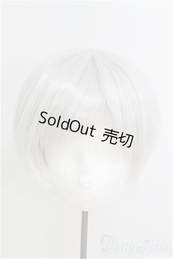 画像1: 8-9inch/ウィッグ/インチ　BJD　MJD　ドール用 I-25-07-27-117-KD-ZI