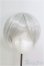 画像1: 8-9inch/ウィッグ/インチ　BJD　MJD　ドール用 I-25-07-27-117-KD-ZI (1)