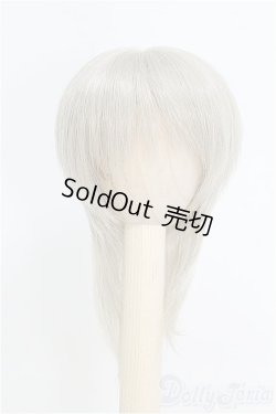 画像1: 6-7inch/ウィッグ/インチ　BJD　MJD　ドール用 I-25-07-27-119-SK-ZI
