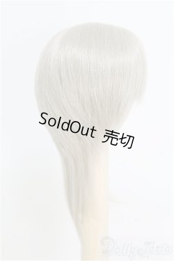 画像2: 6-7inch/ウィッグ/インチ　BJD　MJD　ドール用 I-25-07-27-119-SK-ZI
