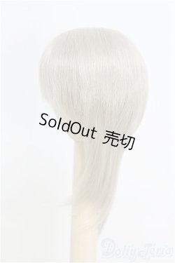 画像3: 6-7inch/ウィッグ/インチ　BJD　MJD　ドール用 I-25-07-27-119-SK-ZI