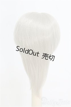 画像4: 6-7inch/ウィッグ/インチ　BJD　MJD　ドール用 I-25-07-27-119-SK-ZI