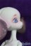 画像2: DOLL CHATEAU /Xaviera I-25-07-27-251-SK-ZI (2)