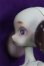 画像3: DOLL CHATEAU /Xaviera I-25-07-27-251-SK-ZI