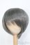 画像1: 8-9inch/ウィッグ　BJD　MJD　ドール用 I-25-07-27-393-KD-ZI (1)
