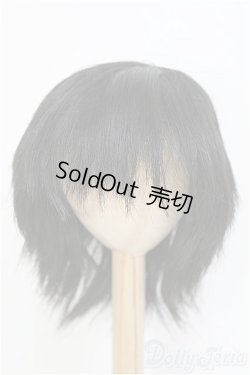 画像1: 8-9inch/ウィッグ　BJD　MJD　ドール用 I-25-07-27-391-KD-ZI