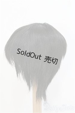 画像2: 8-9inch/ウィッグ　BJD　MJD　ドール用 I-25-07-27-391-KD-ZI