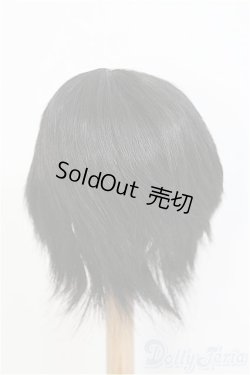 画像3: 8-9inch/ウィッグ　BJD　MJD　ドール用 I-25-07-27-391-KD-ZI
