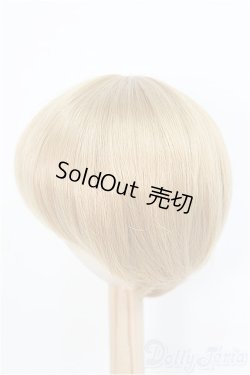 画像2: 9-10inch/ウィッグ　BJD　MJD　ドール用 I-25-07-27-396-KD-ZI