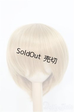 画像1: 9-10inch/ウィッグ　BJD　MJD　ドール用 I-25-07-27-395-KD-ZI