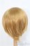 画像3: 9-10inch/ウィッグ　BJD　MJD　ドール用 I-25-07-27-395-KD-ZI (3)