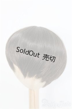画像2: 8-9inch/ウィッグ　BJD　MJD　ドール用 I-25-07-27-392-KD-ZI