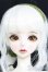 画像1: 【DOLK×Peak’s Woods】FOC Goldie - Iris ver. Limited - Special Reissue/BJD　球体関節人形 I-25-07-27-400-SK-ZI (1)
