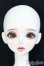 画像2: 【DOLK×Peak’s Woods】FOC Goldie - Iris ver. Limited - Special Reissue/BJD　球体関節人形 I-25-07-27-400-SK-ZI (2)
