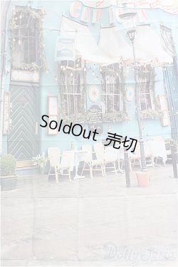 画像1: DD/背景布２点セット/0 I-25-11-02-194-KD-ZI