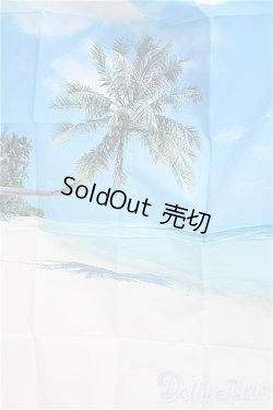 画像2: DD/背景布２点セット/0 I-25-11-02-194-KD-ZI