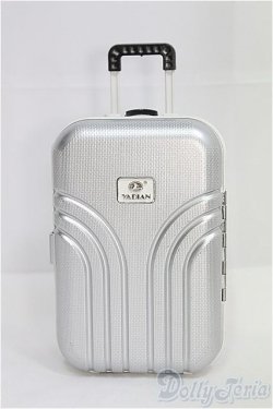 画像1: MDD/OF:小物　トランクケース I-25-07-27-326-KD-ZI