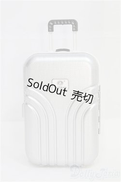 画像1: MDD/OF:小物　トランクケース I-25-07-27-326-KD-ZI