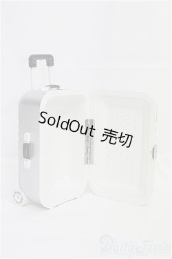 画像2: MDD/OF:小物　トランクケース I-25-07-27-326-KD-ZI