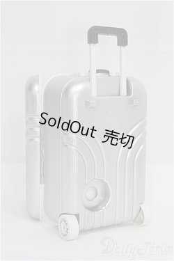 画像3: MDD/OF:小物　トランクケース I-25-07-27-326-KD-ZI