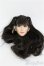 画像4: Super Duck/1/6 SDH-015A 女性ヘッド  I-25-07-27-317-KD-ZI (4)