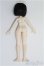 画像6: 1/8/悸動瞬息 未語集　MomoTale　蝉の鳴く時 I-25-08-03-016-KD-ZI