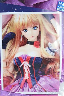 画像1: DD/OF:シェリルの衣装セットライオン　VOLKS製/0 I-25-08-03-110-KD-ZI