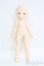 画像4: imomo doll/1/6/DIA Aヘッド&ボディ/BJD　球体関節人形 I-25-08-10-103-KD-ZI