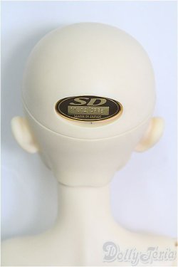 画像4: SDB/ミシェル 星間学寮Ver./BJD　球体関節人形 I-25-11-02-382-KD-ZI