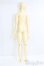 画像5: BJD CROBI/M-line　Ys B I-25-08-17-002-KD-ZI