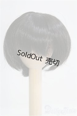 画像1: 6-6.5inch/ウィッグ　licht製/インチ　BJD　MJD　ドール用 I-25-08-17-184-KD-ZI