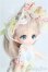 画像3: DOLLCE/ミニスウィーツドール パチュリ I-25-08-17-011-KD-ZI (3)