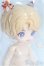 画像3: NAGI ナギ /留学シーズン　琥珀 I-25-08-17-009-KD-ZI (3)