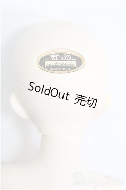 画像5: SD13女の子/フルチョイス:F-63/BJD　球体関節人形 I-25-08-17-100-KD-ZI