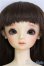 画像1: SD女の子/ニコ　スタンダードモデル/BJD　球体関節人形 I-25-08-17-104-KD-ZI (1)