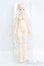 画像4: IMOMODOLL/1/4ヘッド+女の子ボディ/BJD　球体関節人形 I-25-08-17-200-KD-ZI (4)
