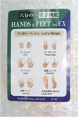 六分の一男子図鑑/手先・足先セット　HANDS&FEETset EX/ファッションドール　衣装 I-25-08-17-206-KD-ZI