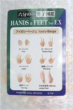 画像1: 六分の一男子図鑑/手先・足先セット　HANDS&FEETset EX/ファッションドール　衣装 I-25-08-17-206-KD-ZI