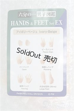 画像1: 六分の一男子図鑑/手先・足先セット　HANDS&FEETset EX/ファッションドール　衣装 I-25-08-17-206-KD-ZI