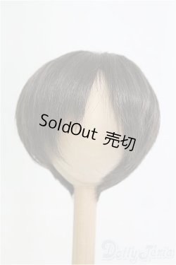 画像1: 9-10inch/ウィッグ CROBI/インチ　BJD　MJD　ドール用 I-25-08-17-251-KD-ZI