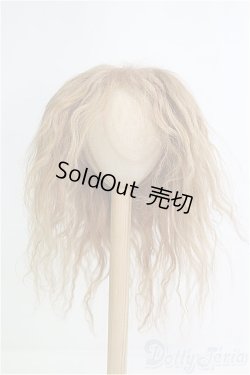 画像1: 9-10inch/モヘアウィッグ/インチ　BJD　MJD　ドール用 I-25-08-17-254-KD-ZI