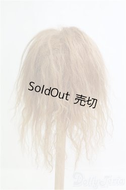 画像2: 9-10inch/モヘアウィッグ/インチ　BJD　MJD　ドール用 I-25-08-17-254-KD-ZI