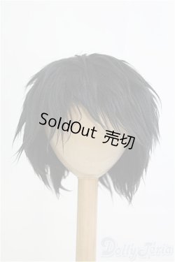 画像1: 9-10inch/ボアウィッグ/インチ　BJD　MJD　ドール用 I-25-08-17-255-KD-ZI
