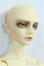 画像4: SD17BOY/ウィリアムズ　銀貨の誓い　The young Ensign/BJD　球体関節人形 I-25-09-28-203-KD-ZI
