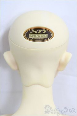 画像5: SD17BOY/ウィリアムズ　銀貨の誓い　The young Ensign/BJD　球体関節人形 I-25-09-28-203-KD-ZI